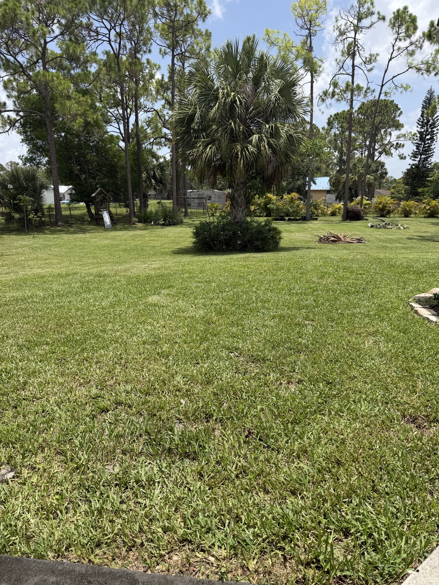 Back yard after Eden Landscaping service