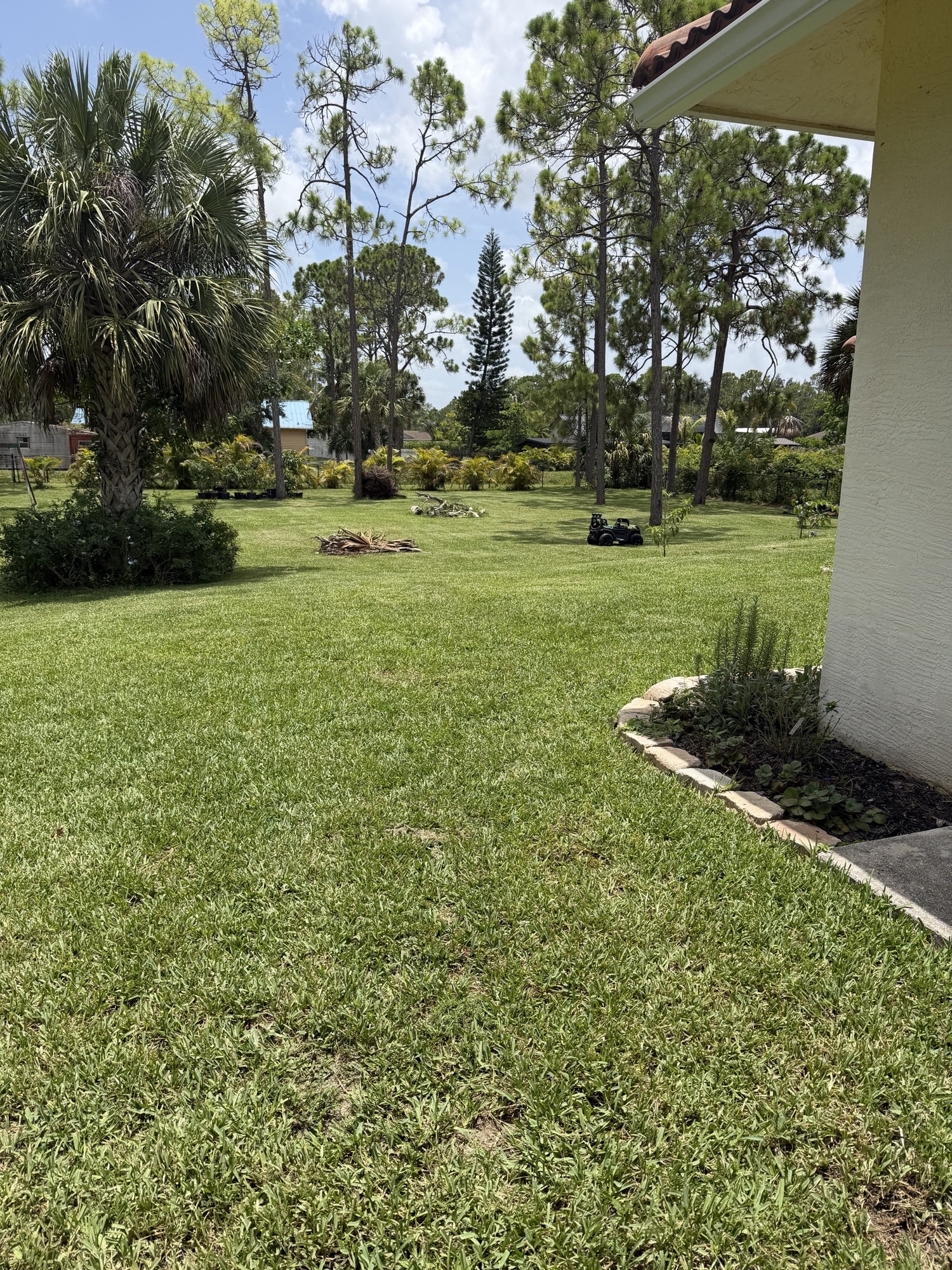 Side yard after Eden Landscaping service
