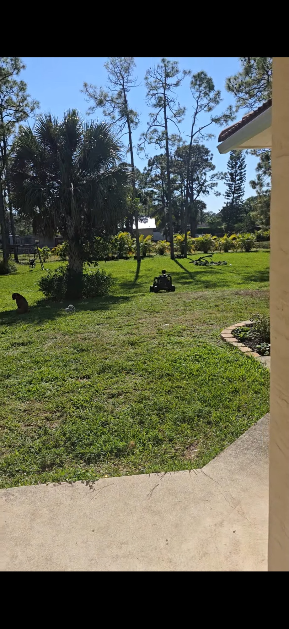 Side yard before Eden Landscaping service